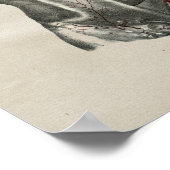 Human Thorax Anatomy  Print (Hoek)