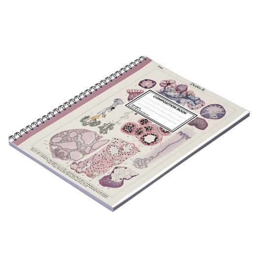 Human Tissue Histology Atlas Notebook Notitieboek (Linkerzijde)
