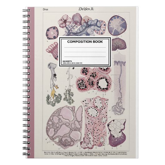Human Tissue Histology Atlas Notebook Notitieboek (Voorkant)