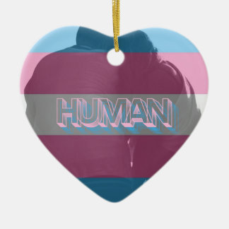 Human Trans Pride Ornament