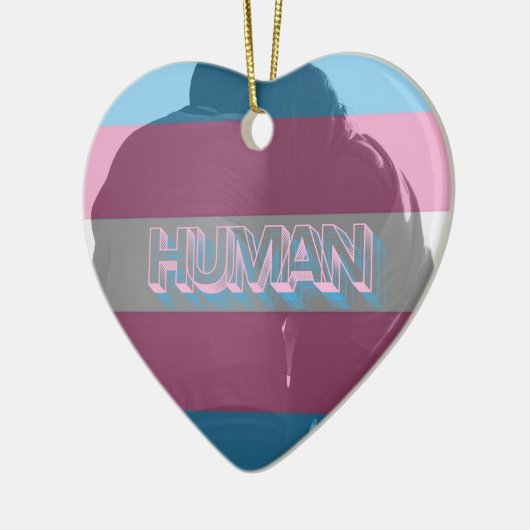 Human Trans Pride Ornament (Links)