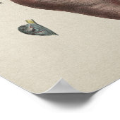 Human Uterus Anatomy  Print (Hoek)