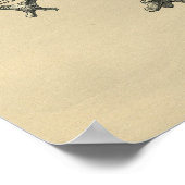 Human Vertebrae Anatomy 1902  Print (Hoek)