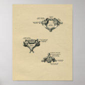 Human Vertebrae Anatomy 1902  Print (Voorkant)