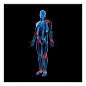 Human Xray Poster (Voorkant)