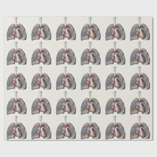  humane anatomie longen hartorganen bloed cadeaupapier (Vlak)