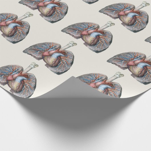 humane anatomie longen hartorganen bloed cadeaupapier (Hoek)