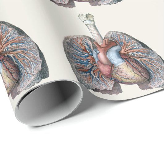  humane anatomie longen hartorganen bloed cadeaupapier (Rol Hoek)