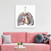  humane anatomie longen hartorganen bloed canvas afdruk (Insitu (Woonkamer))