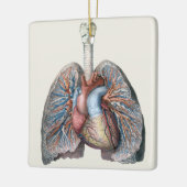  humane anatomie longen hartorganen bloed keramisch ornament (Links)