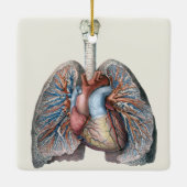  humane anatomie longen hartorganen bloed keramisch ornament (Achterkant)