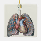  humane anatomie longen hartorganen bloed keramisch ornament (Voorkant)