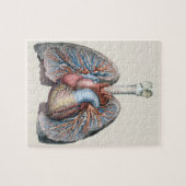 humane anatomie longen hartorganen bloed legpuzzel (Horizontaal)