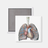  humane anatomie longen hartorganen bloed magneet (Voorkant / Achterkant)