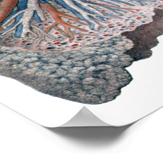 humane anatomie longen hartorganen bloed poster (Hoek)