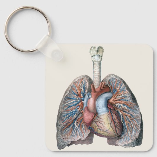  humane anatomie longen hartorganen bloed sleutelhanger (Voorkant)
