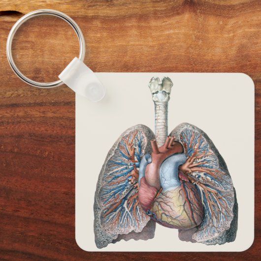  humane anatomie longen hartorganen bloed sleutelhanger (Voorkant)