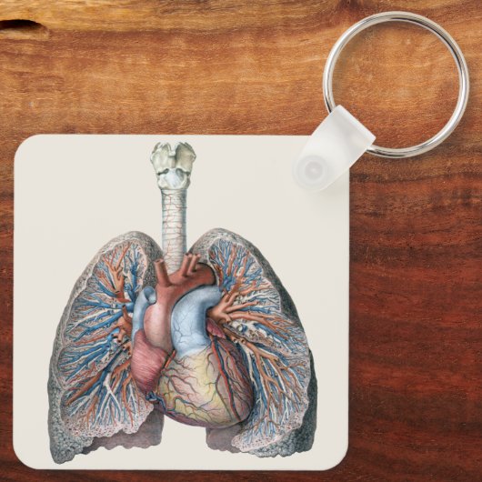  humane anatomie longen hartorganen bloed sleutelhanger (Achterkant)