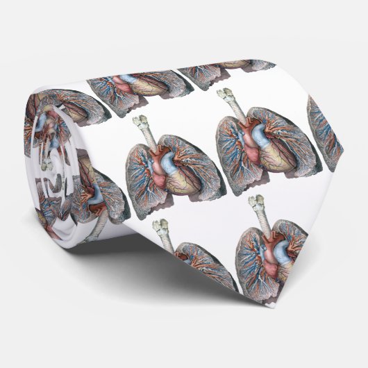  humane anatomie longen hartorganen bloed stropdas (Opgerold)
