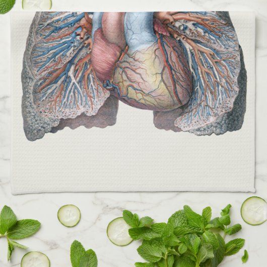  humane anatomie longen hartorganen bloed theedoek (Gevouwen)