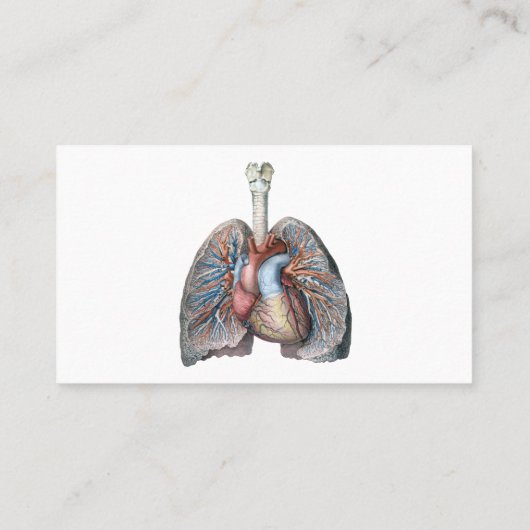  humane anatomie longen hartorganen bloed visitekaartje (Achterkant)