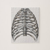  humane anatomie Skelet Skeletribben Botten Legpuzzel (Verticaal)