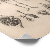 humane anatomie skeleton print (Hoek)