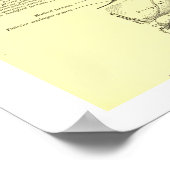  humane anatomische basis van de schedel binnenin poster (Hoek)