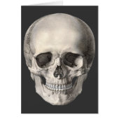  humane anatomische schedel, Halloween Skeleton (Voorkant)