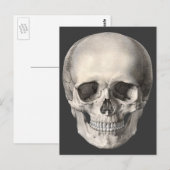 humane anatomische schedel, Halloween Skeleton Briefkaart (Voorkant / Achterkant)
