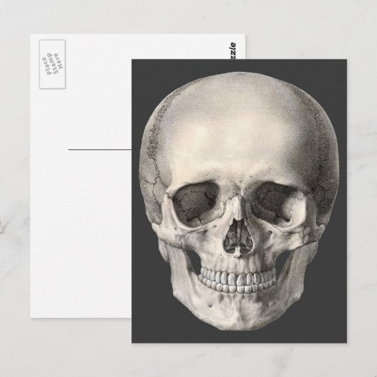  humane anatomische schedel, Halloween Skeleton Briefkaart (Voorkant / Achterkant)