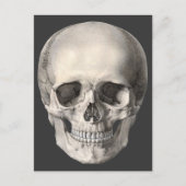  humane anatomische schedel, Halloween Skeleton Briefkaart (Voorkant)
