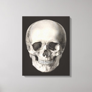 humane anatomische schedel, Halloween Skeleton Canvas Afdruk