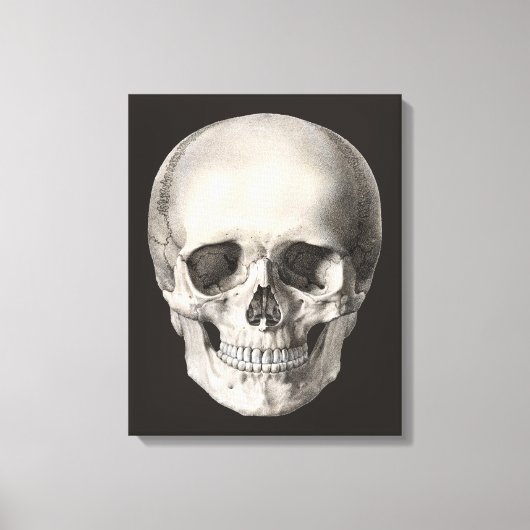 humane anatomische schedel, Halloween Skeleton Canvas Afdruk (Voorkant)