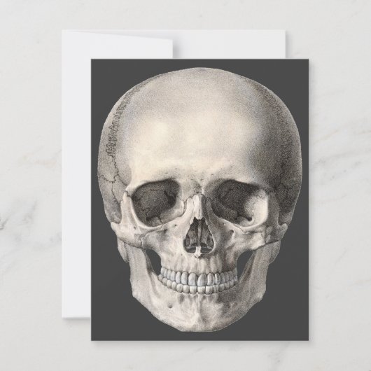  humane anatomische schedel, Halloween Skeleton Kaart (Voorkant)