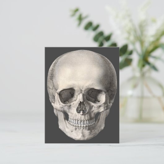 humane anatomische schedel, Halloween Skeleton Kaart (Staand voorkant)