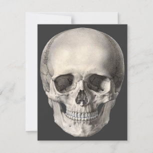 humane anatomische schedel, Halloween Skeleton Kaart