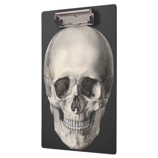 humane anatomische schedel, Halloween Skeleton Klembord (Links)