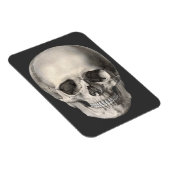 humane anatomische schedel, Halloween Skeleton Magneet (Rechterzijde)