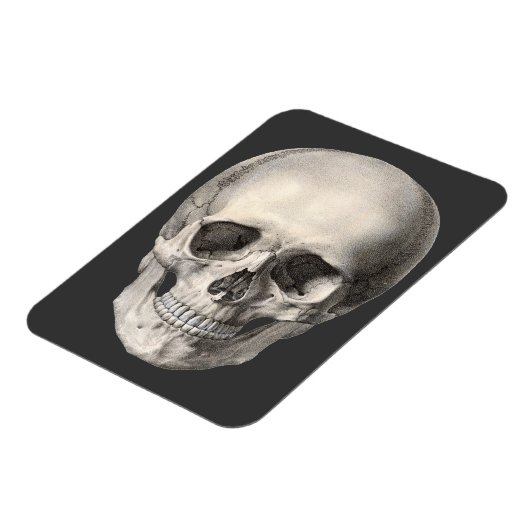humane anatomische schedel, Halloween Skeleton Magneet (Linkerzijde)