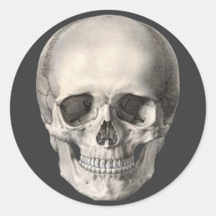  humane anatomische schedel, Halloween Skeleton Ronde Sticker