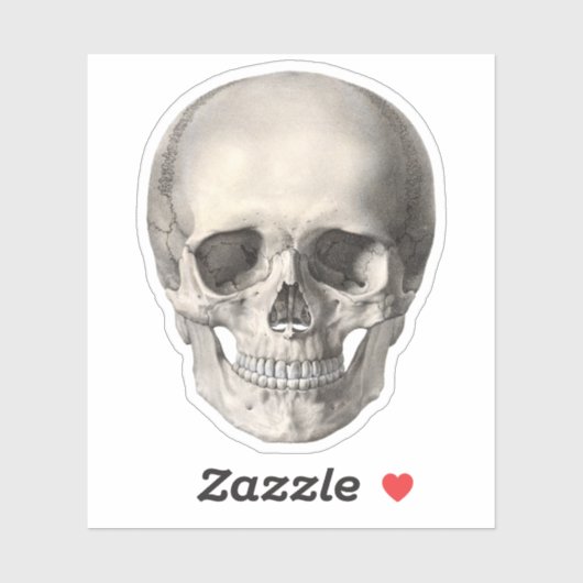  humane anatomische schedel, Halloween Skeleton Sticker (Vel)