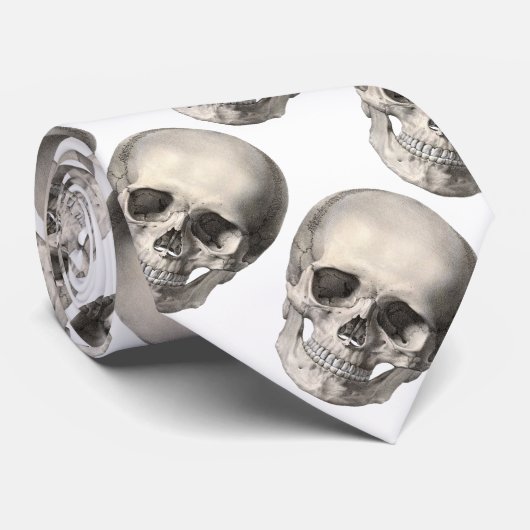  humane anatomische schedel, Halloween Skeleton Stropdas (Opgerold)
