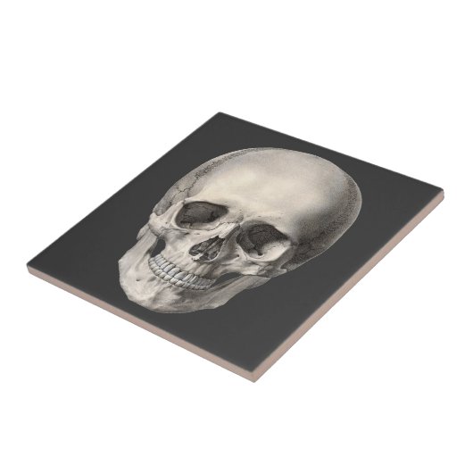 humane anatomische schedel, Halloween Skeleton Tegeltje (Zijkant)