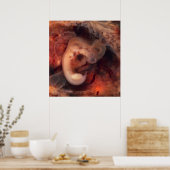 Humane embryo 7e week van de zwangerschap 5e week poster (Keuken)