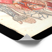 humane interne anatomische afdrukken poster (Hoek)