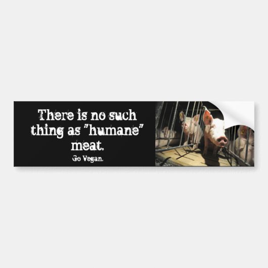 Humane mythe varkens bumpersticker (Voorkant)