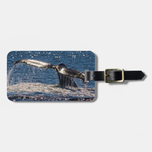 Humback Whale Bagagelabel - Staarvlokken (Voorkant horizontaal)