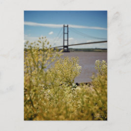 Humberbrug in de zon [Briefkaart] Briefkaart