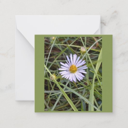 Humble daisy foto notitiekaartje (Voorkant)